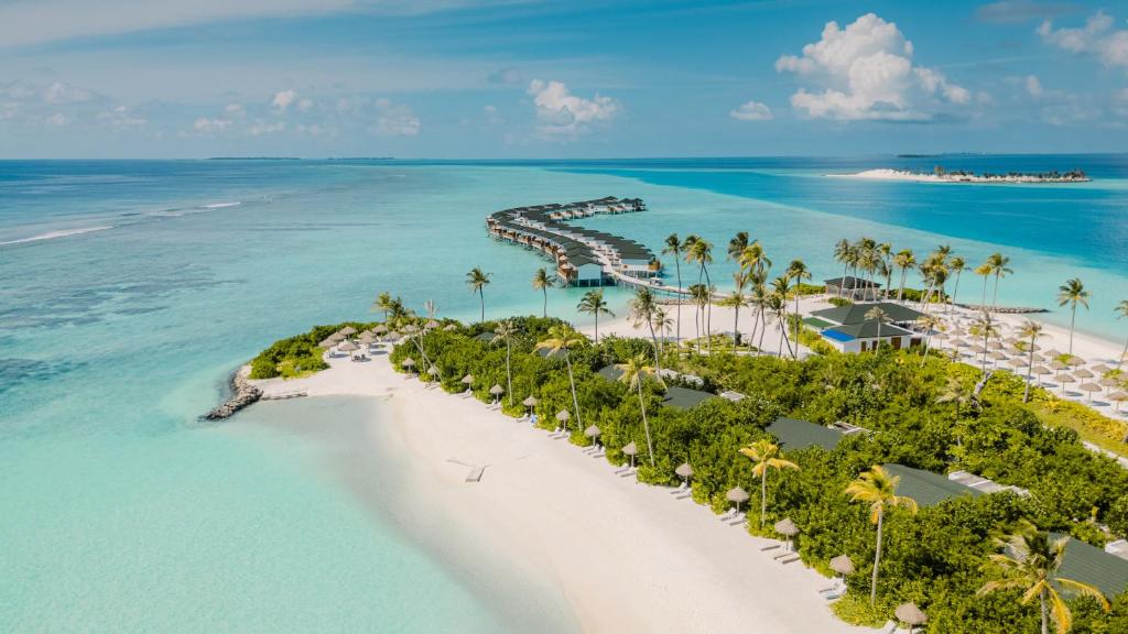 JOY ISLAND by Cocoon Collections