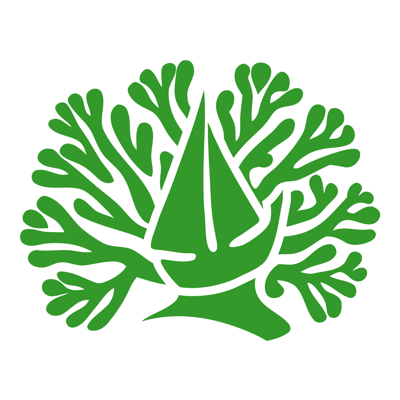 Palm Icon